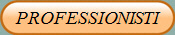 PROFESSIONISTI